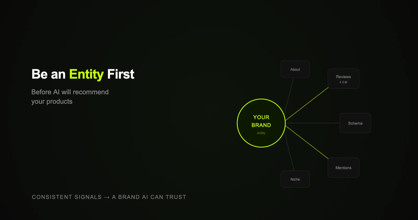 Knowledge-graph network with a DTC brand at the centre